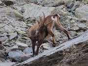 Anello Laghi con Cima di Ponteranica centrale-Lago di Pescegallo da Ca’ San Marco il 21 agosto 2023- FOTOGALLERY
